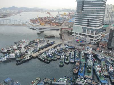 客室からの眺望