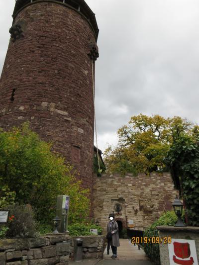 ラプンツェルの塔