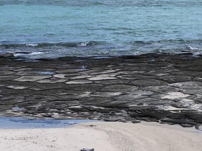 溶岩が冷え固まってできた柱状節理の海岸