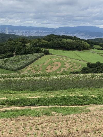 開放的です