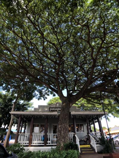 こちらもルーティン