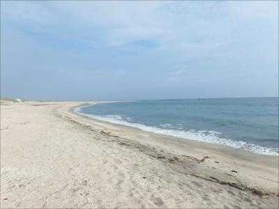 ここは教えたくない穴場です