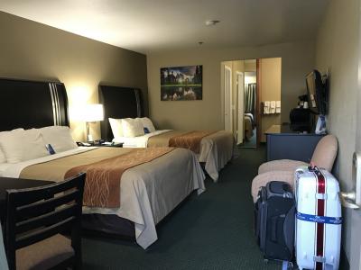 クインルーム　クイーンベッド２台