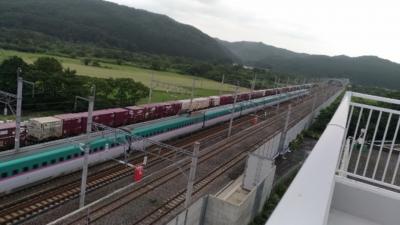 新幹線展望台あります（道の駅 しりうち）