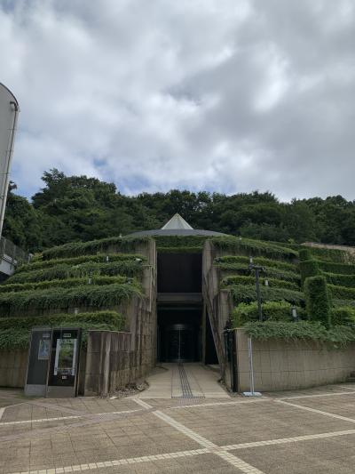 緑地の中にある美術館