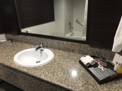 洗面台周りもすっきり。アメニティも充実。