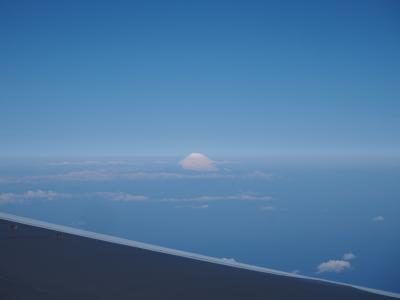 比較的コンパクトで過ごしやすい空港