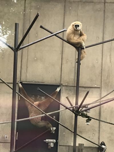 言わずとしれた！