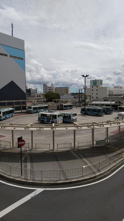 土浦駅前から多くの路線バスが出ています