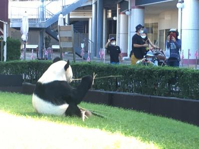 ほぼ、待ち時間ゼロ