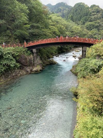 綺麗です