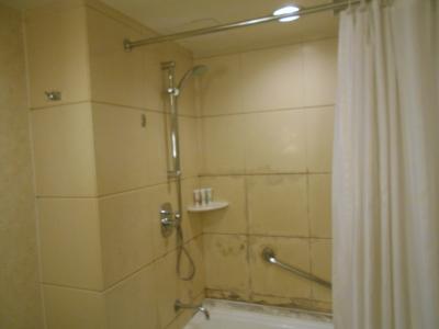 Golden Flower Hotel Xi'an 　