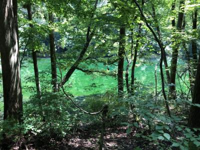 自然エネルギー充電！