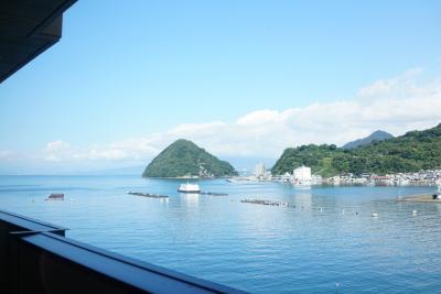 料理が美味しい旅館、残念ながら富士山は見えず、Go to トラベルを使って宿泊。