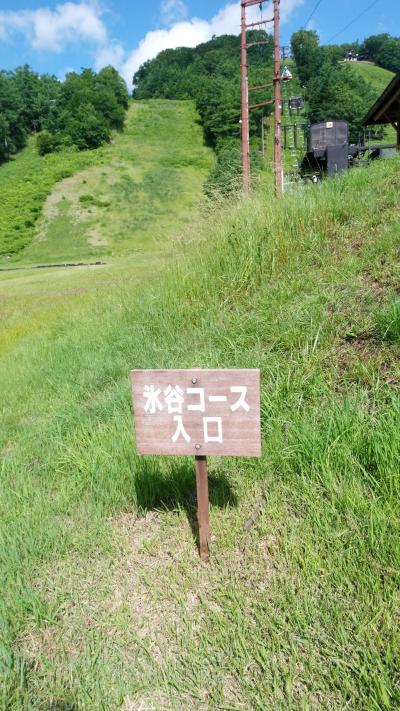 グリーンシーズンの楽しみ方いろいろ