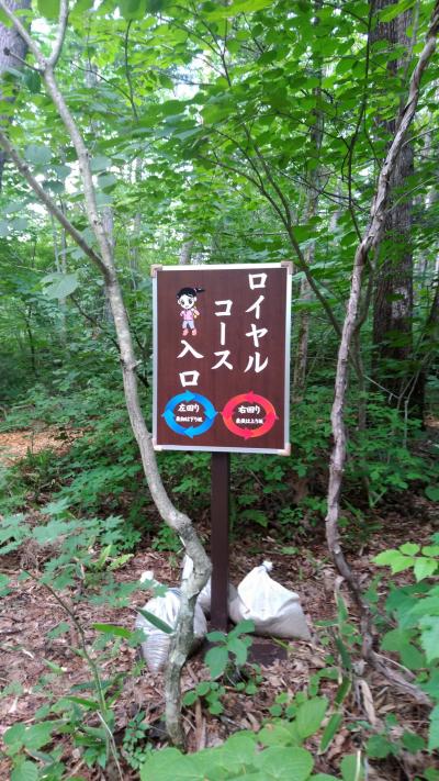 ホテルだけで遊ばせてもらいました