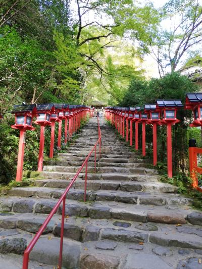 有名な灯篭階段