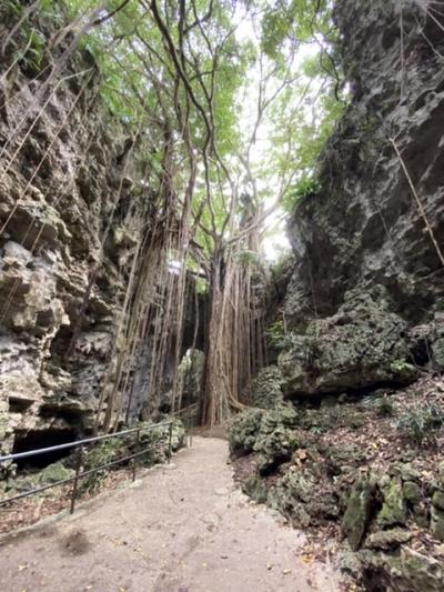 見どころ沢山あり！