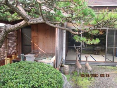 出雲大社に参拝して、宍道湖南の玉造温泉で一泊しました