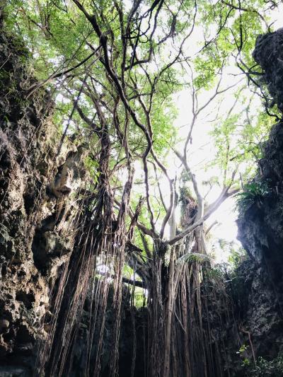 沖縄の谷を散策