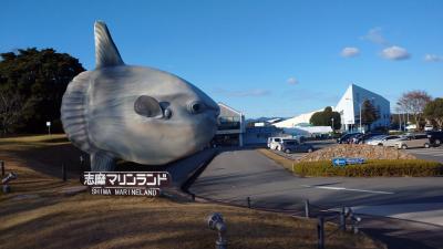 味のある水族館