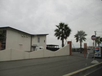 ドッグランが出来ます