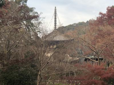 県指定の文化財