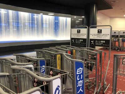 羽田空港の検疫　出国前にやっておいた方がいいこと・入国時に知っておいた方が良いこと