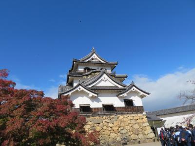 階段が多かった