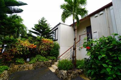 宮古ブルーに会えず部屋で過ごしました