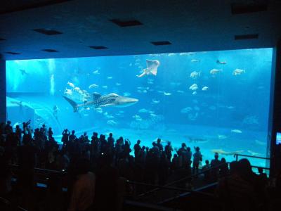 一度は訪れたい水族館