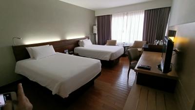 デラックスルーム。ツインベッド。セミダブル&#10005;2