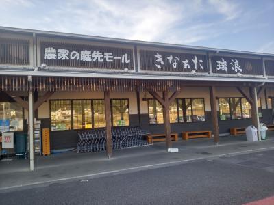 1月後半でもヤーコンを販売していました。