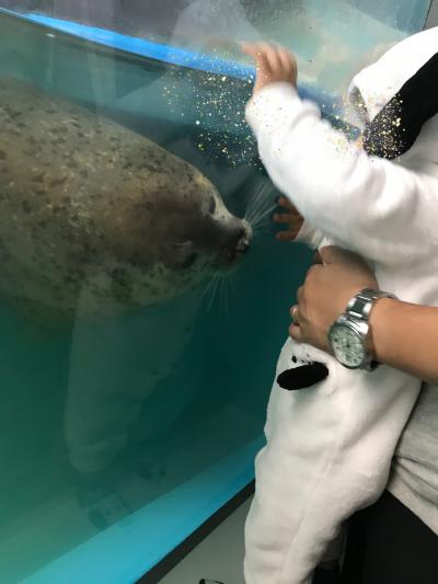 静かで見やすい