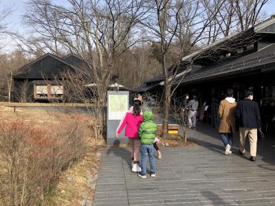 おしゃれな雰囲気の自然が近いショッピングモール