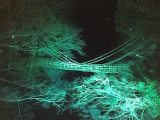 ライトアップ By M 祖谷のかずら橋のクチコミ フォートラベル