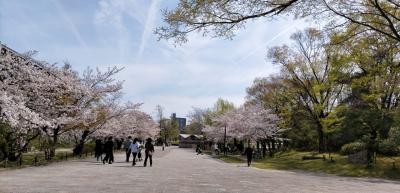 子ども連れには楽しい公園だと思います。