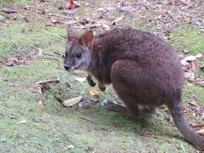 規模は狭くなってましたが楽しめました。