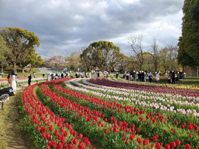 2021年4月3日　万博記念公園