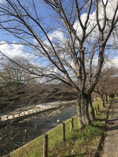 ゆっくり流れを楽しめる川