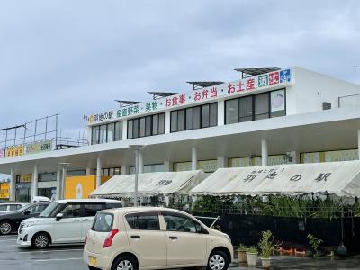 マンゴー、ミニマンゴーが豊富にあった。