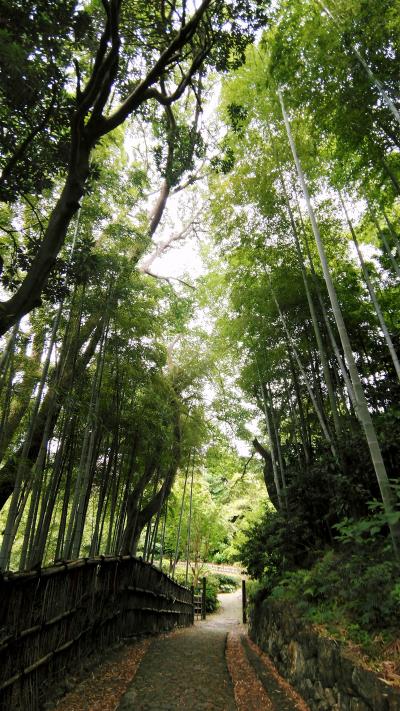 浜松城の敷地を公開