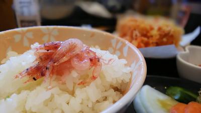 桜エビを食べに！