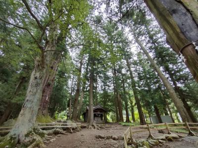 尊厳な雰囲気の素敵な神社