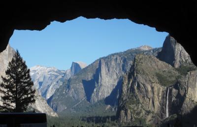 半日ツアーを取れば、ナイスショットも可能。