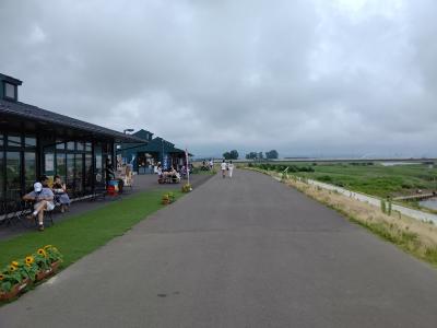 シラウオ丼、旨ぇ！