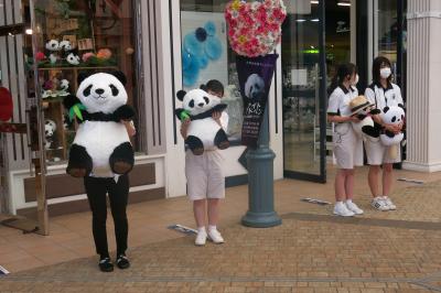 パンダファミリーランド！！