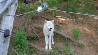 動物と自然好きなら何時間でも過ごせます