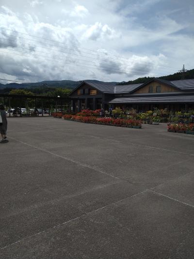 きれいな道の駅