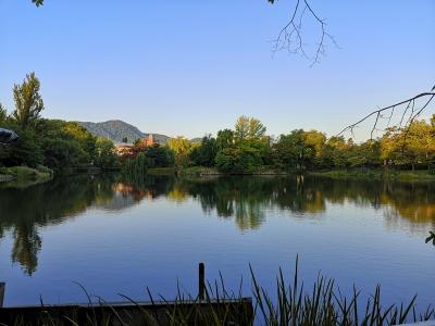 都会の真ん中にあるとは思えない自然豊かな公園